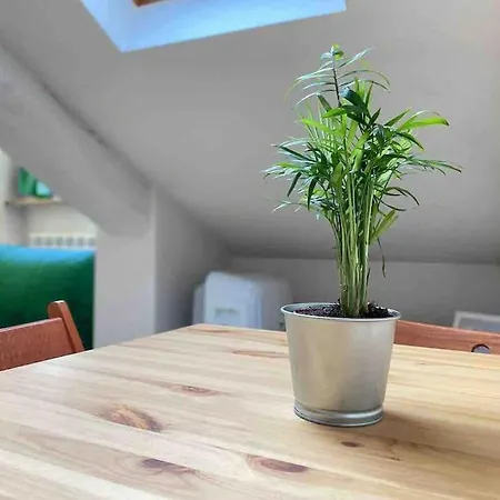 Apartment Elicriso - Center Turin